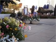 04152011_Lori and Rons_8